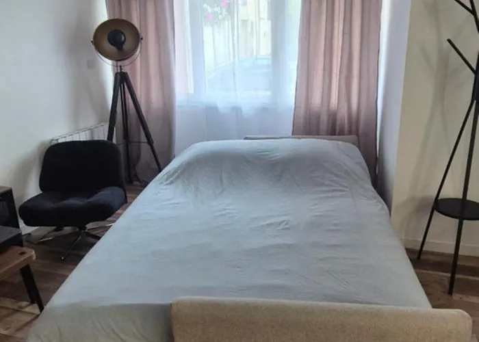 Le St Martin, De 45 M Avec Separe * Mayenne