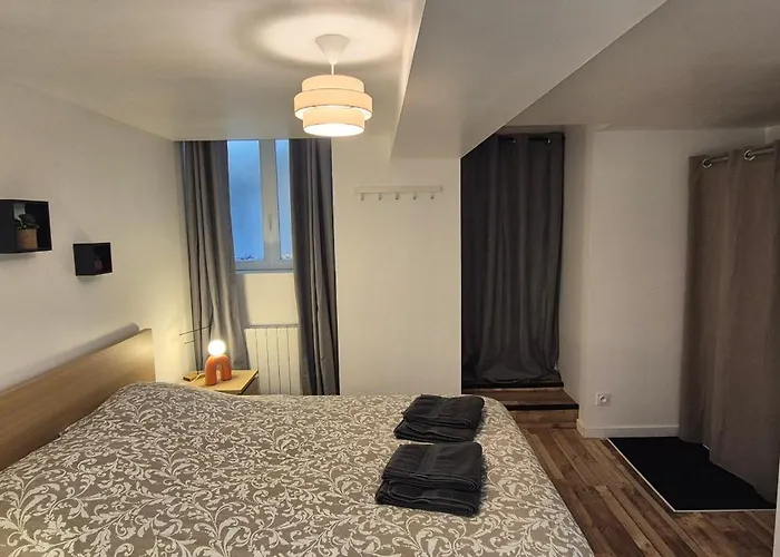 Le St Martin, De 45 M Avec Separe * Mayenne